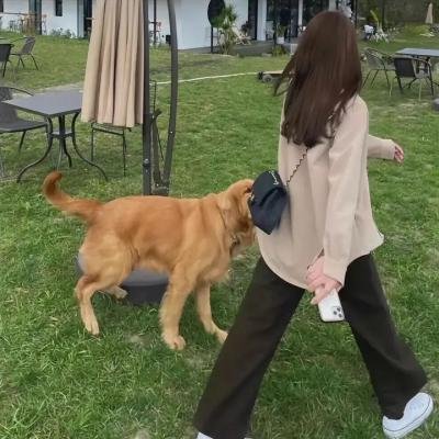 那些年，我们一起追的女孩